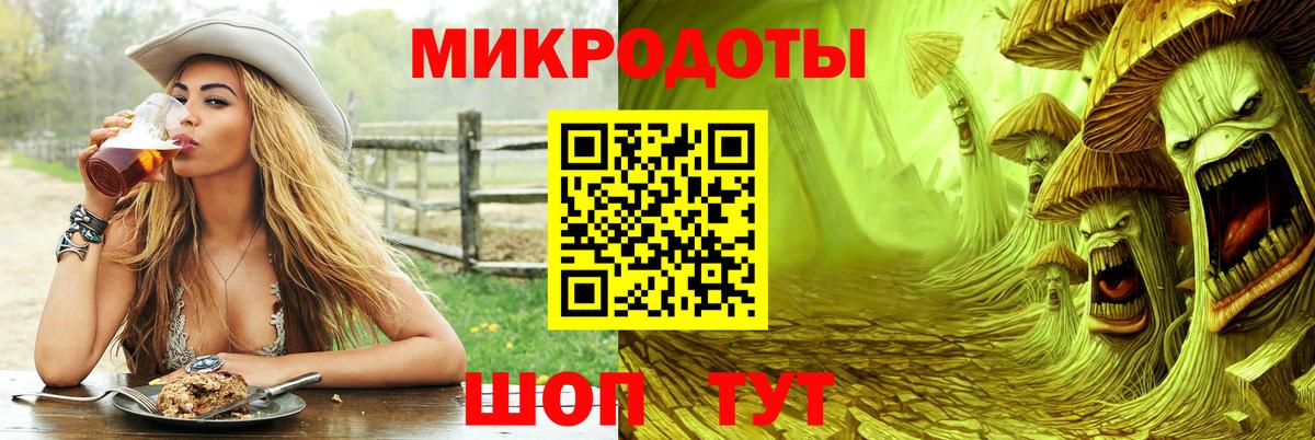 Псилоцибиновые грибы Psilocybine cubensis  Вход с VPN  Димитровград 